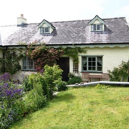 Parc Y Brenin Villa Dryslwyn Ngoại thất bức ảnh