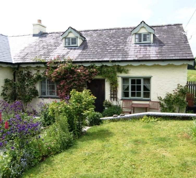Parc Y Brenin Villa Dryslwyn Ngoại thất bức ảnh