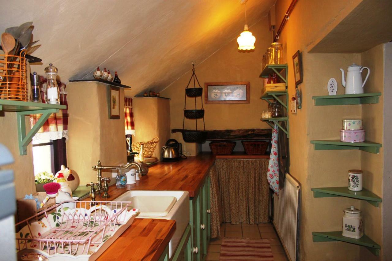 Parc Y Brenin Villa Dryslwyn Ngoại thất bức ảnh